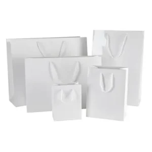 Laminated Paper Bags