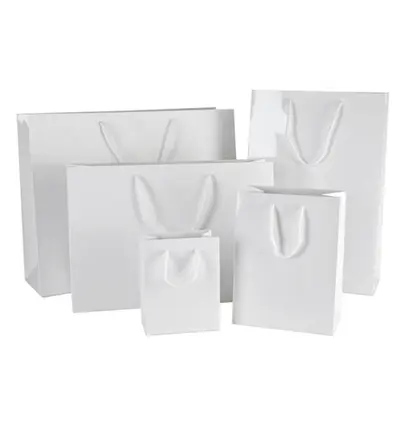 Laminated Paper Bags