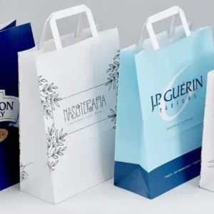 Printed Flat Handle Paper Bags